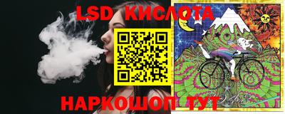 гидропоника Тверь