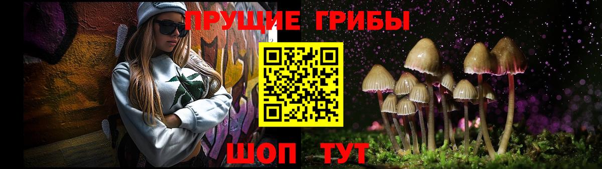 Москва  Галлюциногенные грибы GOLDEN TEACHER  Вход с VPN 